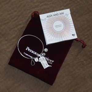 alex and ani Amethyst Crystal bracelet